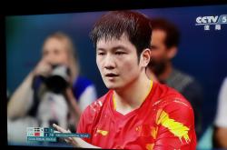 开云官网-瑞典队完胜中国队，樊振东刷新纪录的简单介绍
