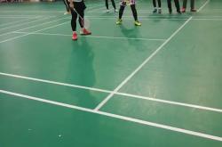 开云体育直播-关于法国羽毛球队翻盘日本羽毛球队，马琳制霸全场的信息