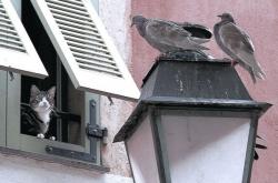 开云体育中国-奥运周期关键战焦点战，山西队末节逆袭带走浙江队