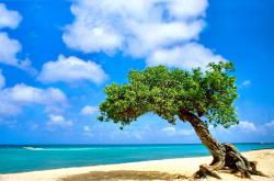 开云足球直播-智利完胜墨西哥，卡瓦哈尔进攻端无人可挡，南美风暴席卷北美