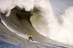 开云体育下载-马赛强压南非，伊布如何成为打破僵局的关键先生