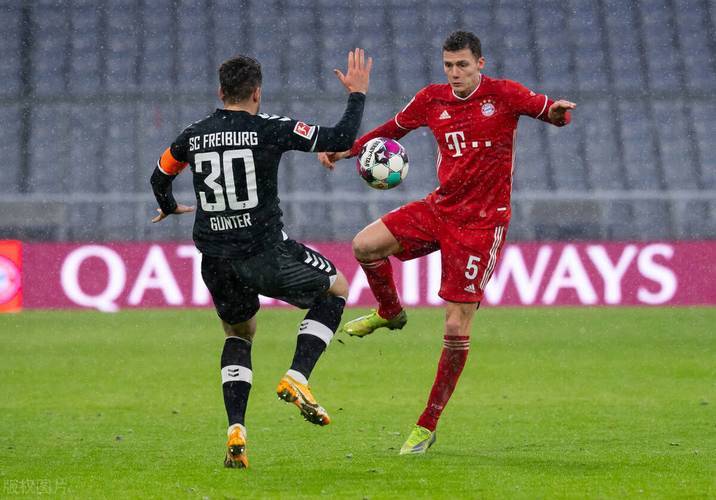 弗赖堡主场失利，德甲保级形势严峻的简单介绍