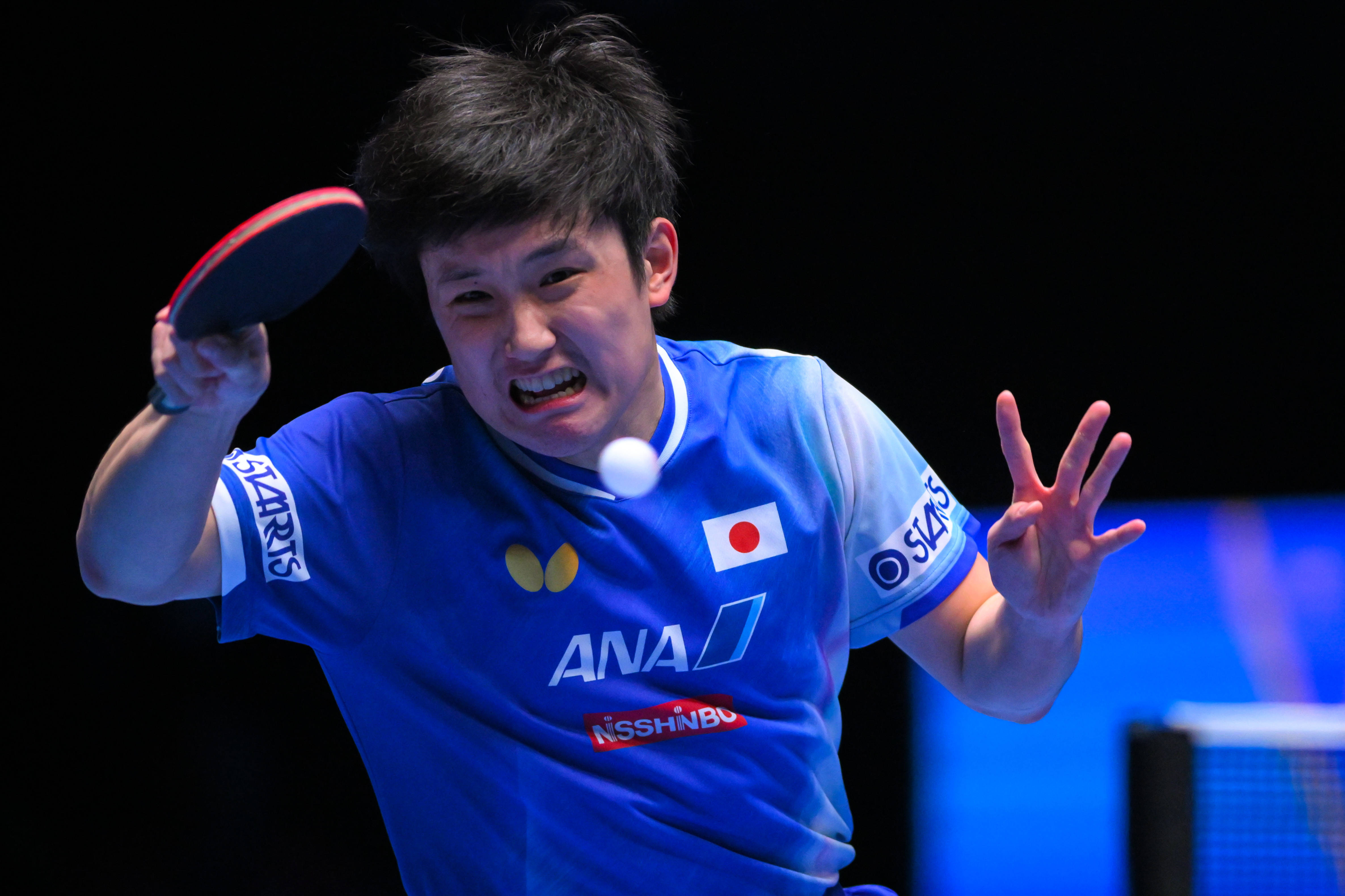 比利时乒乓球队横扫瑞典乒乓球队,张本智和绝境逆转的简单介绍 比利时乒乓球队横扫瑞典乒乓球队,张本智和绝境逆转的简单介绍