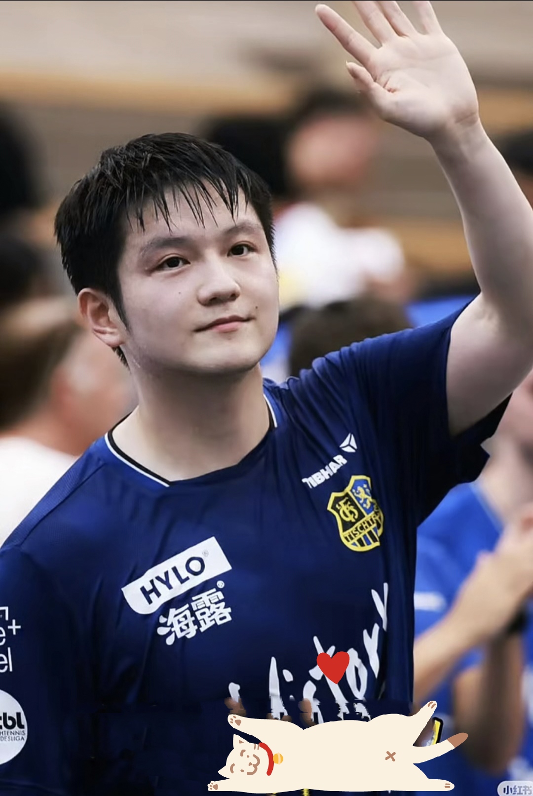 英国乒乓球队绝地反击德国乒乓球队，樊振东关键制胜的简单介绍