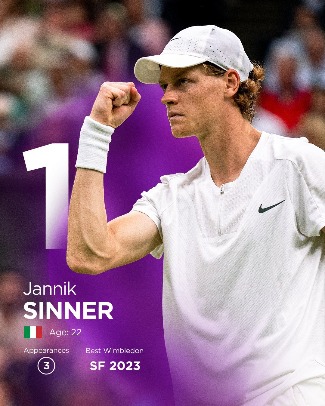 戴维斯杯逆转温网，梅德韦杰夫刷新纪录的简单介绍