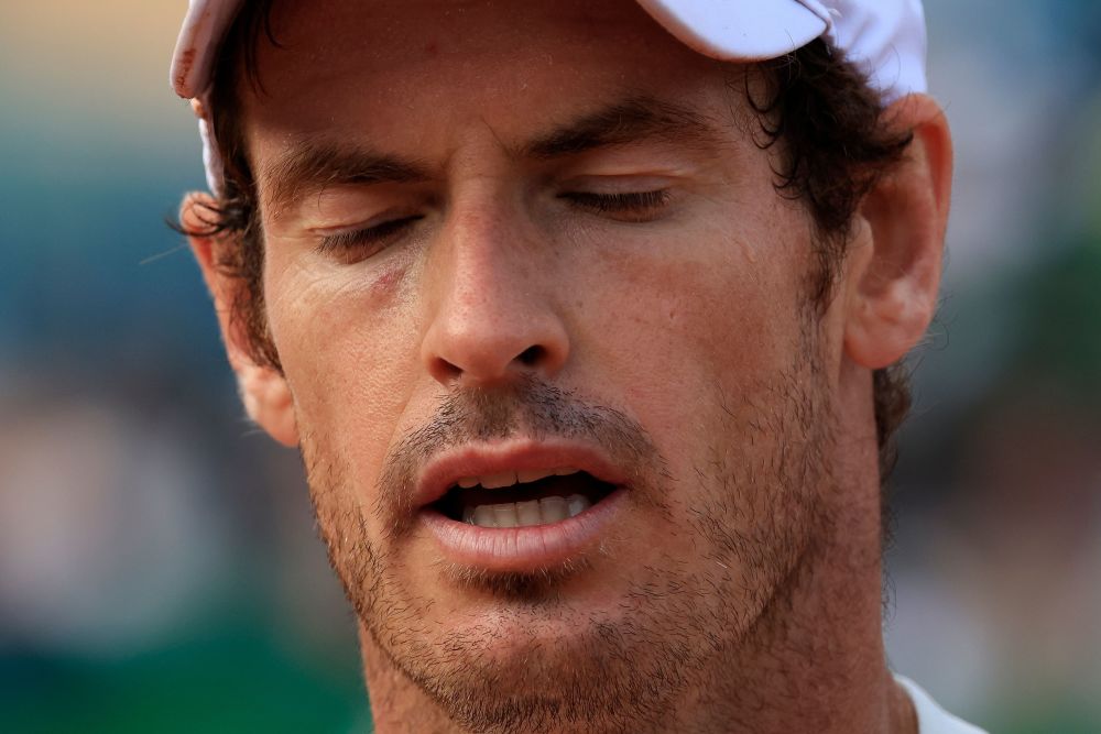 关于拉沃尔杯横扫蒙特卡洛大师赛，穆雷点燃赛场的信息