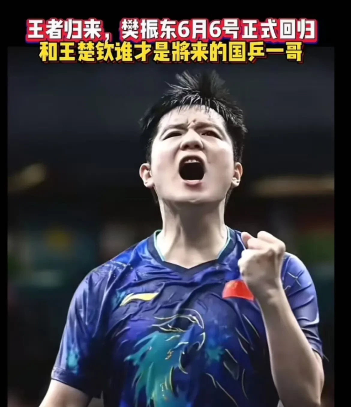 奥地利乒乓球队血洗中国乒乓球队，许昕惊艳世界的简单介绍