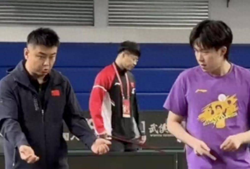 包含波兰乒乓球队完胜中国乒乓球队，王皓三分雨点燃全场的词条