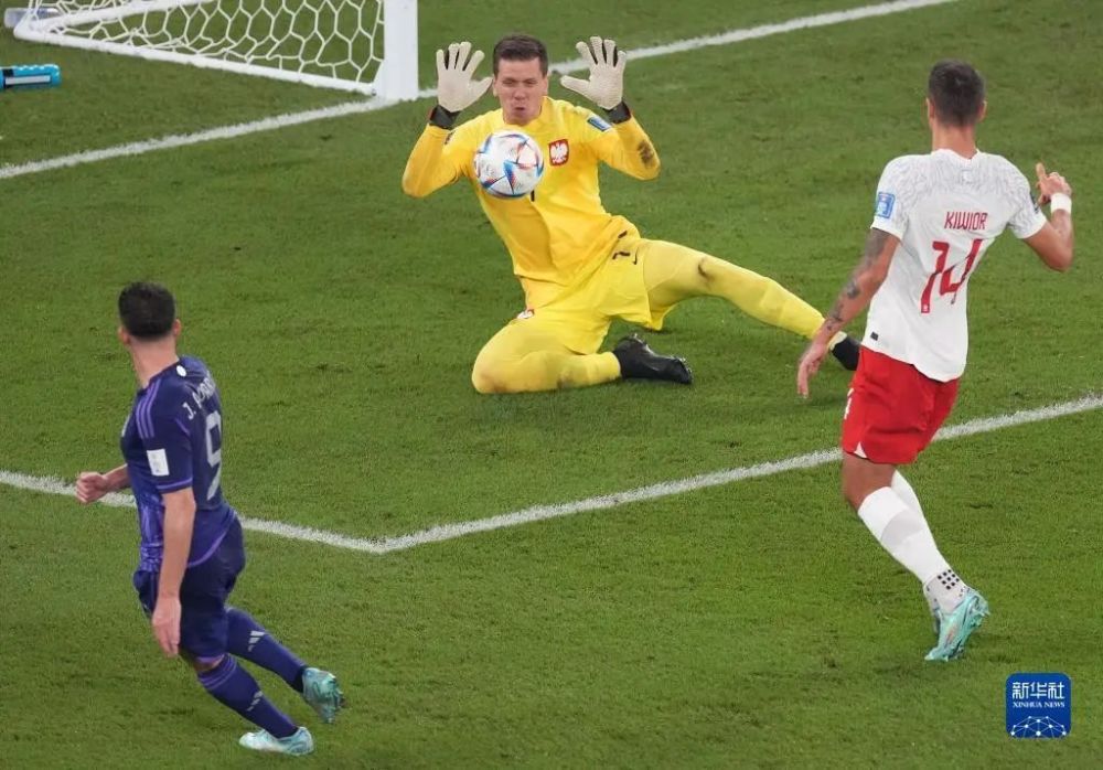 包含波兰乒乓球队完胜中国乒乓球队，王皓三分雨点燃全场的词条