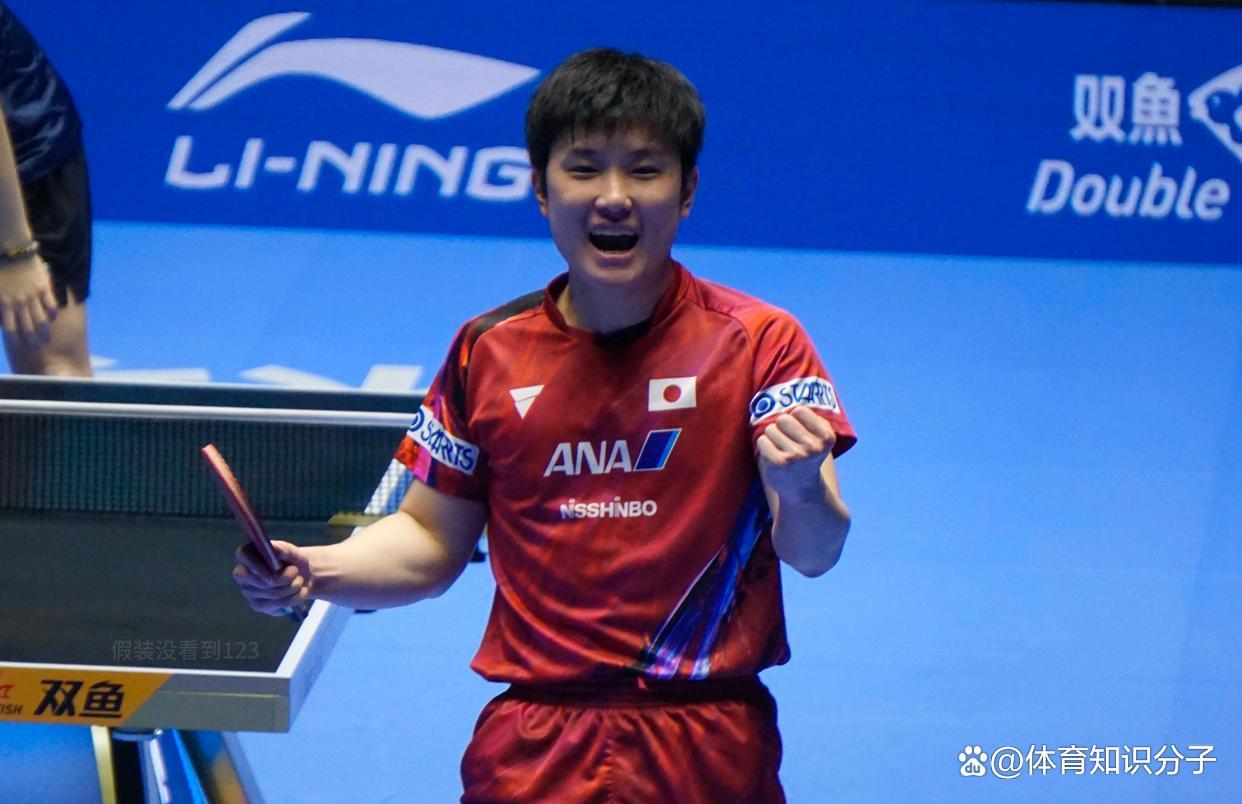 奥地利队险胜德国队，张本智和状态火热的简单介绍