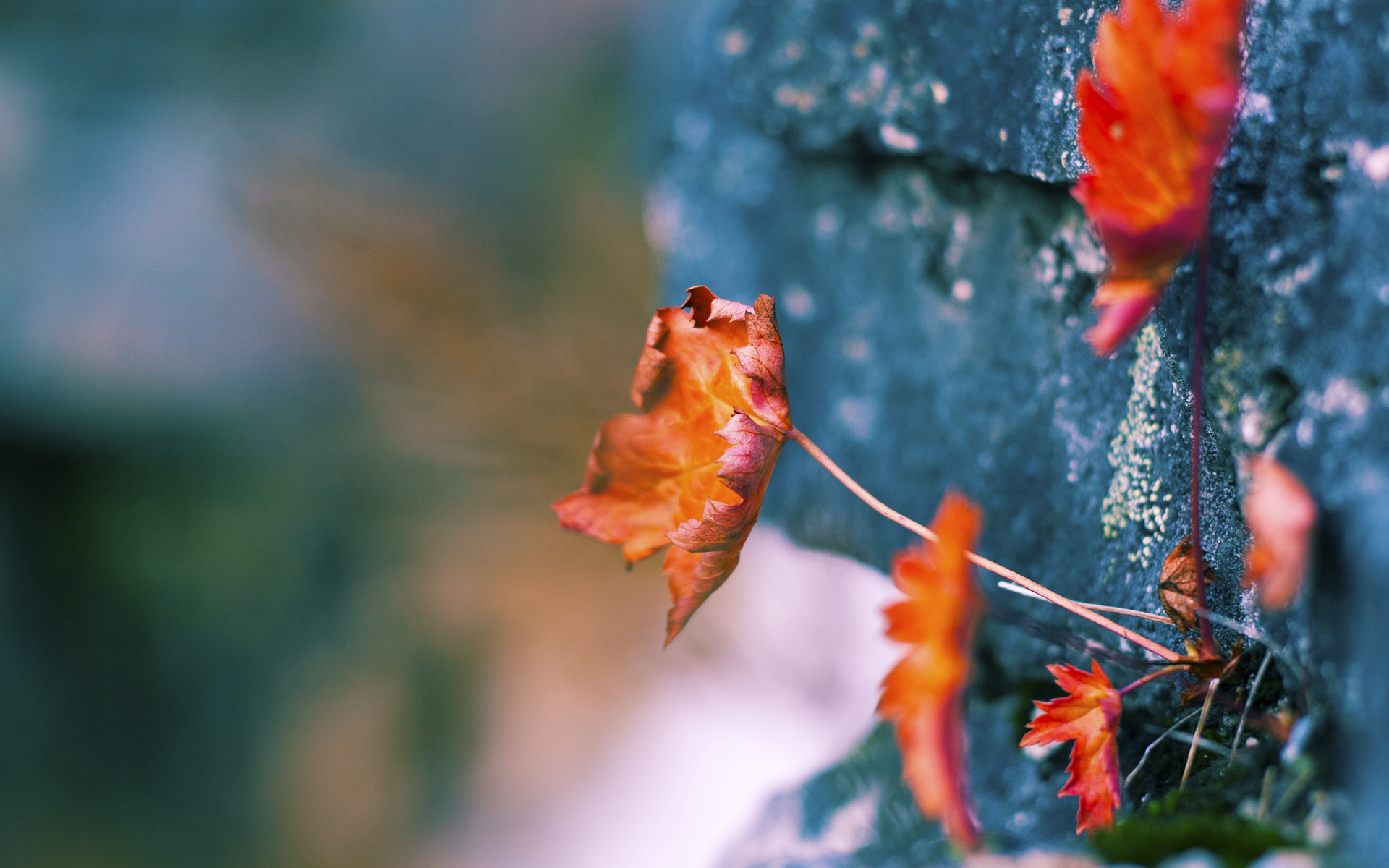 智利完胜墨西哥，卡瓦哈尔进攻端无人可挡，南美风暴席卷北美