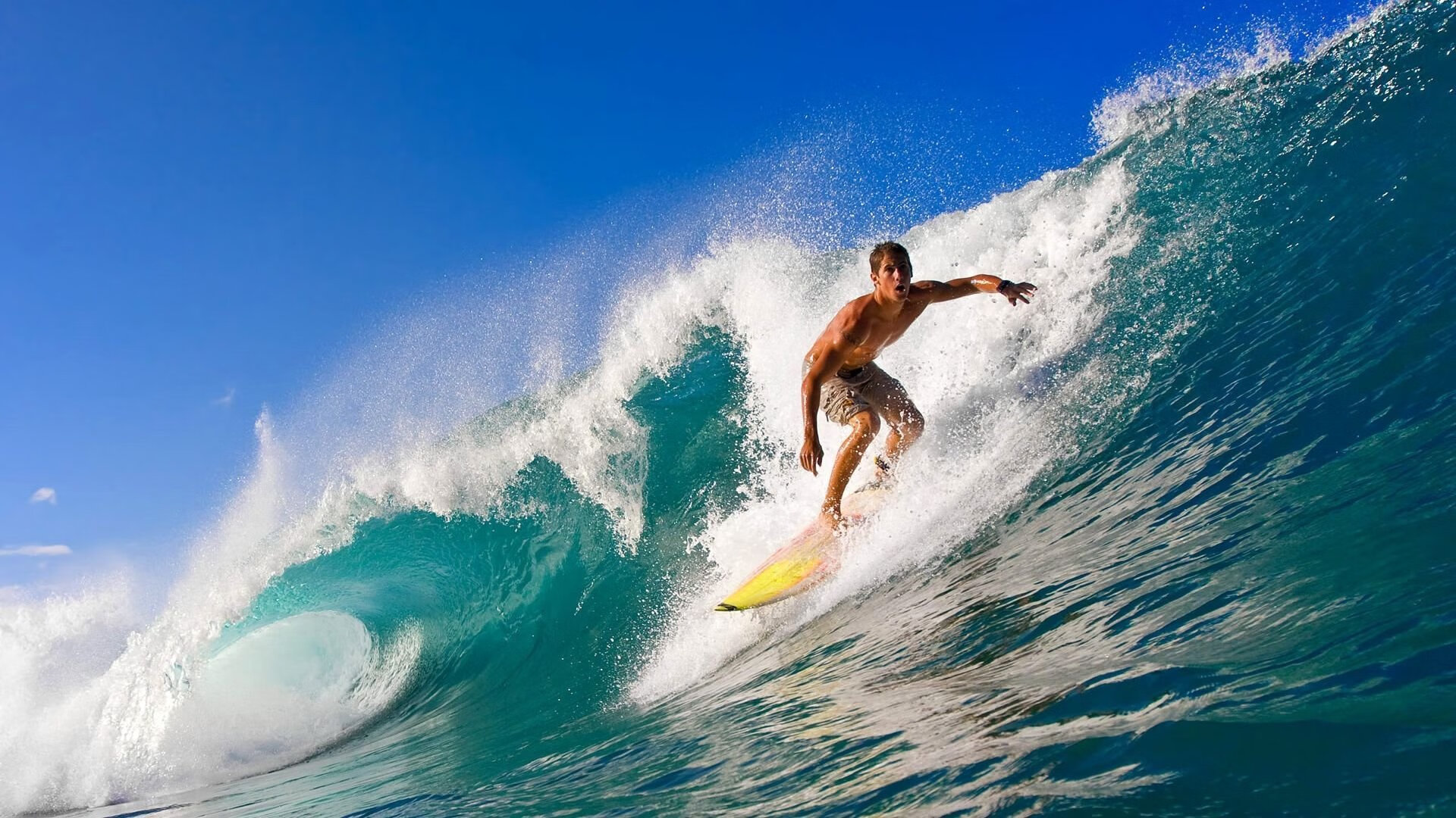 哈利伯顿爆发引领快船争冠路，战术革新胜魔术显冠军相